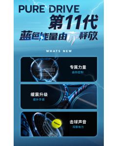 PURE DRIVE 300g